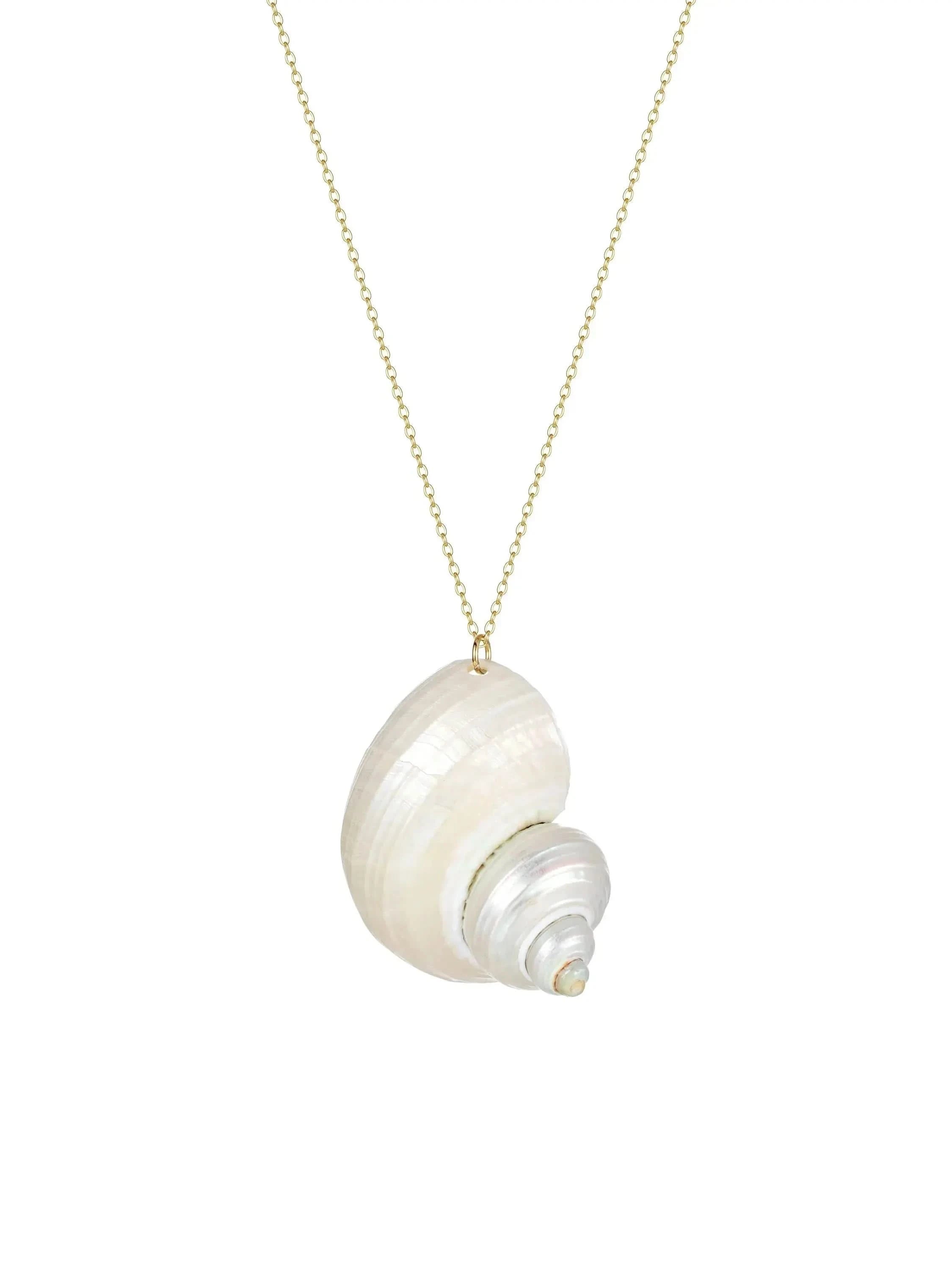 Natural Shell Necklace
